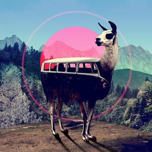 Caseable C14-L univerzální pouzdro pro čtečky knih - motiv Llama