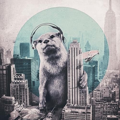 Caseable C09-D univerzální pouzdro pro čtečky knih - motiv DJ