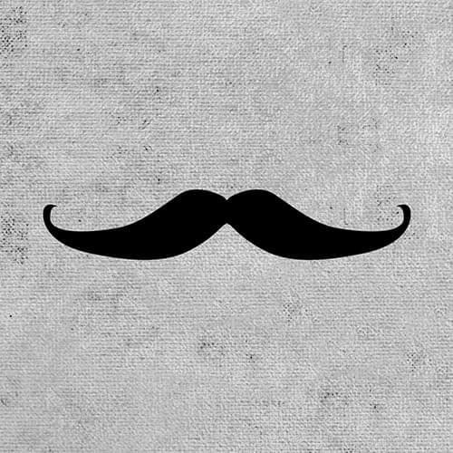 Caseable C17-ML univerzální pouzdro pro čtečky knih - motiv Moustache Ludwig