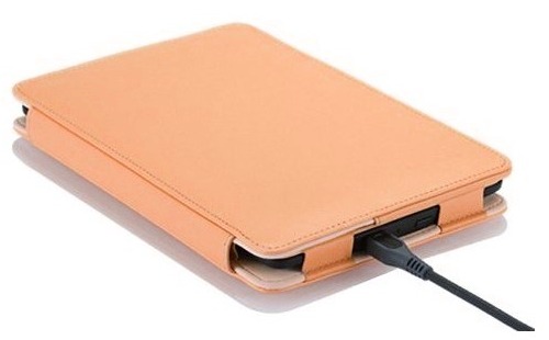 Amazon Kindle 6 FORTRESS FT157 zlaté pouzdro - magnet, kapsa