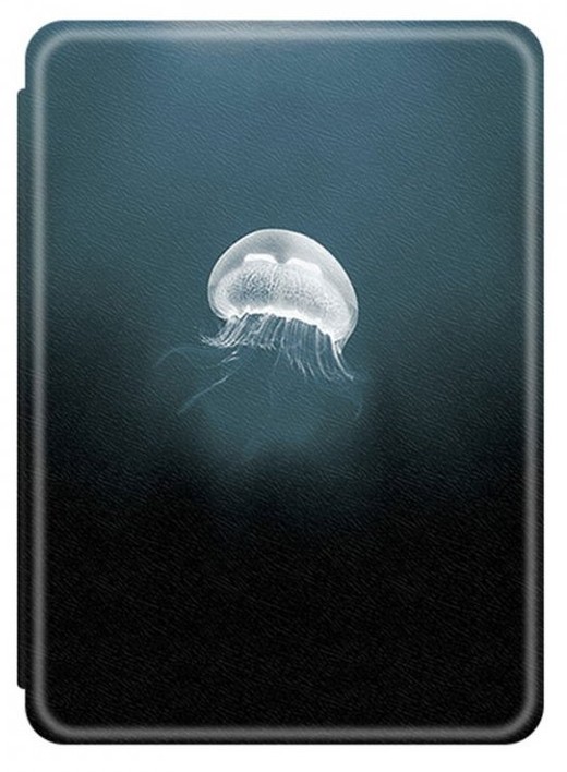 Pouzdro Durable Lock KPW-37 pro Amazon Kindle Paperwhite 5 (2021) - Medusa