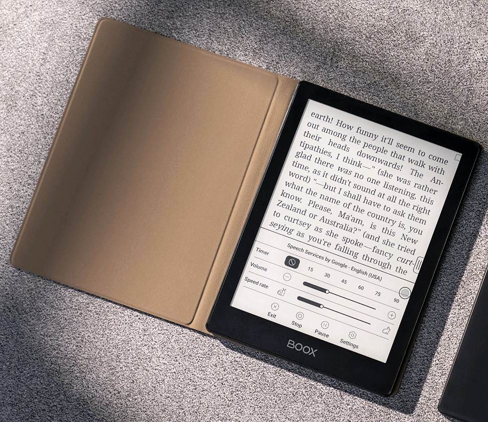 ONYX BOOX pouzdro pro POKE 5 / GO 6, černé