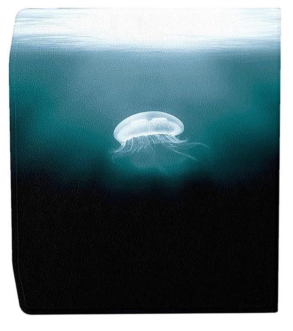 Pouzdro B-Safe Magneto 3419 na Pocketbook 700 Era - motiv Medusa