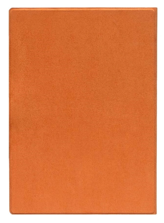 Pouzdro PocketBook MF-1030-DOG-WW pro Pocketbook 1030 InkPad One - oranžové, orig. Pocketbook